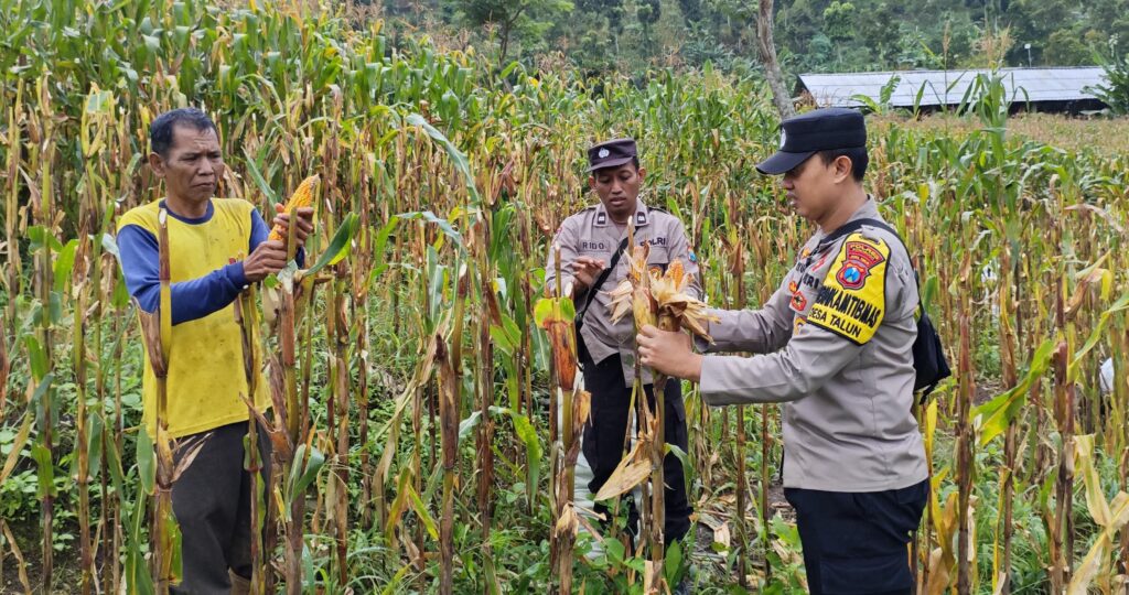Polres Ponorogo Sahabat Petani, Dampingi Warga Wujudkan Swasembada Pangan